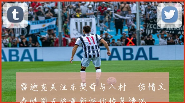 雷迪克关注东契奇与八村塁伤情文森特周五将重新评估恢复情况