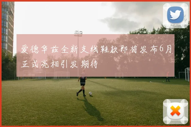 爱德华兹全新支线鞋款即将发布6月正式亮相引发期待