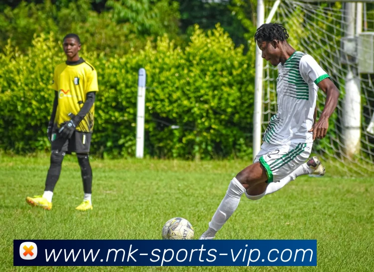 App Interface Preview